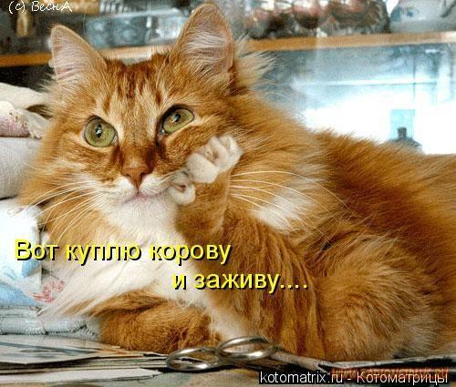 Сергей Миронов