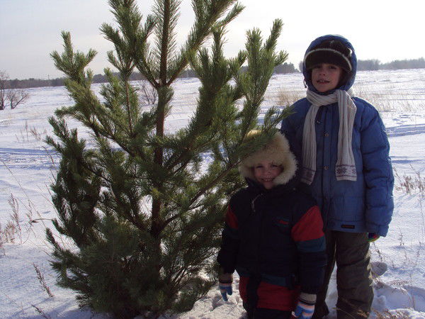 Никита Бокарев