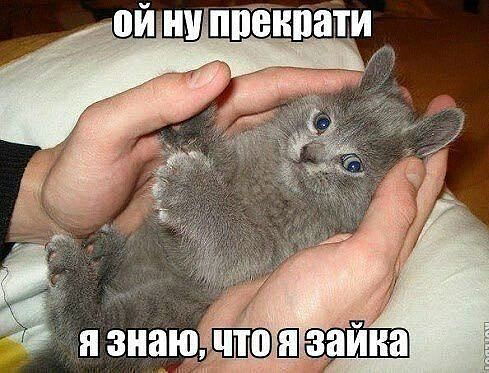 Марина Кесаонова