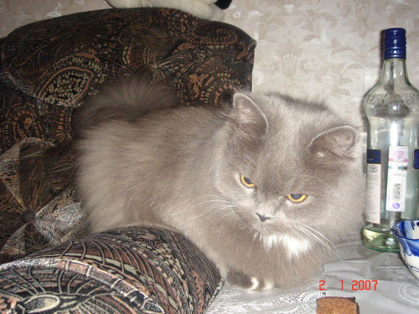 Сергей Матросов