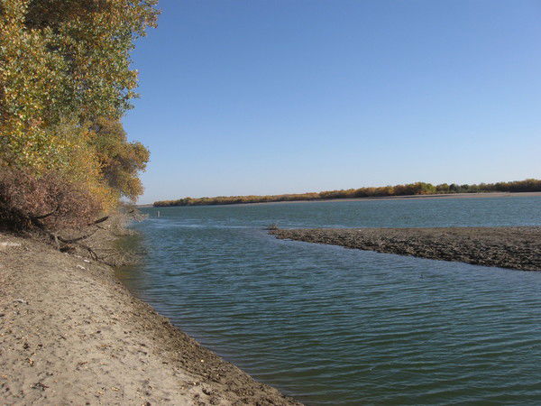 Григорий Горбунов