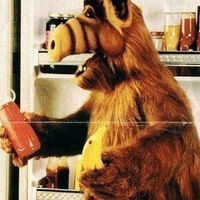 Александра Выговская