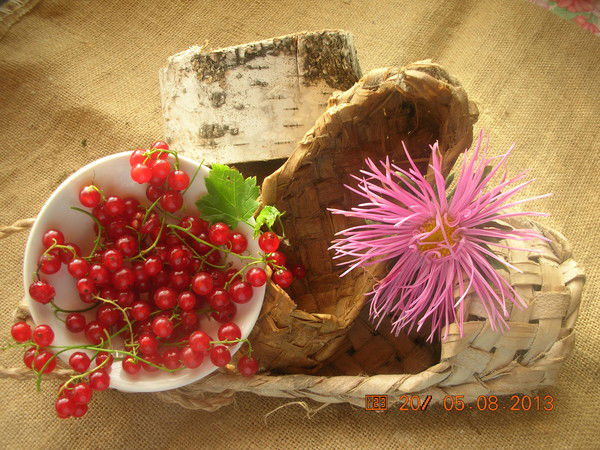 Марина Зимина