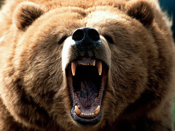 Александр Кудесник