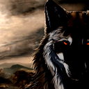Shadow 1