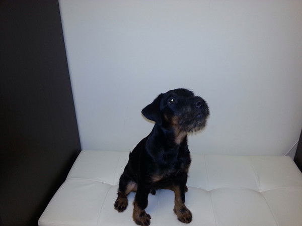 Анна Петрова