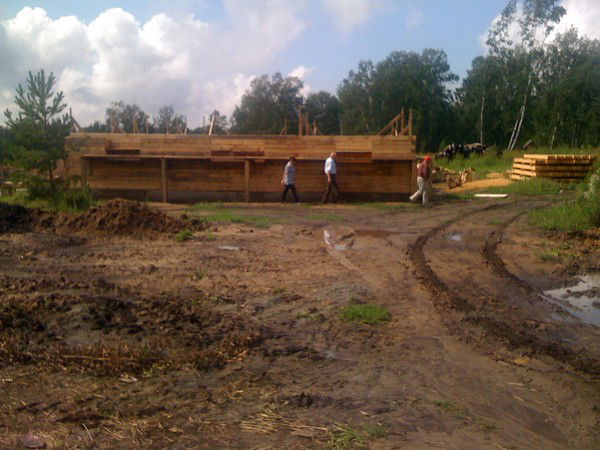 Лена Леденева