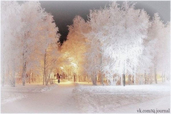 Кристина Казанцева