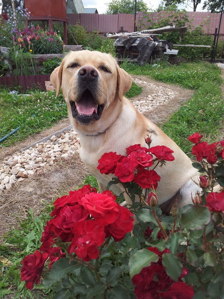 Александр Владимирович