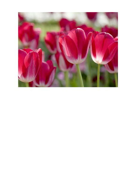 Альфия Ахмадиева