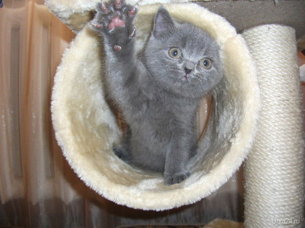 Любовь Кожендаева