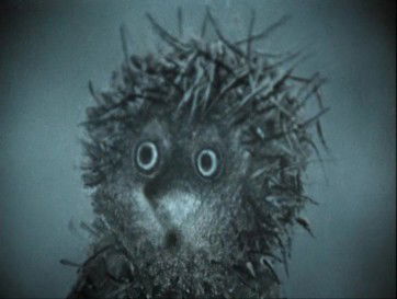 Александр Акчурин