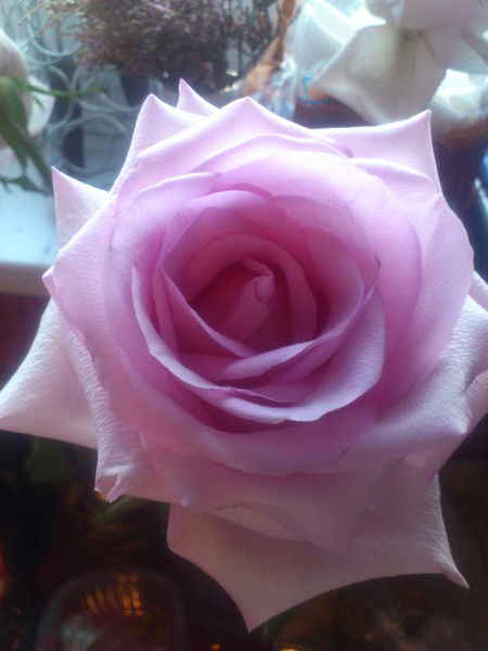 Татьяна Смирнова