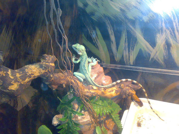 Олег Кокорин