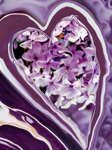 Мку Цб Мбуо Отдел Питания