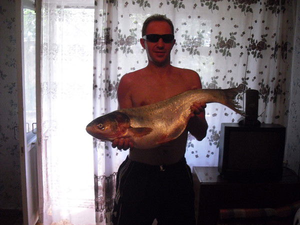 Виктор Блинков