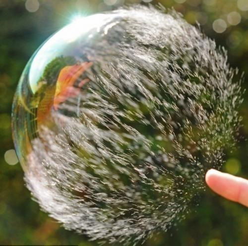 Александра Астахова