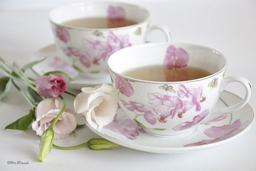 Яна Толкачева