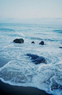 Екатерина Радаева