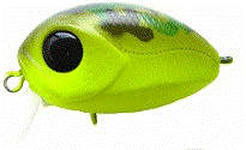 Серега Васильев