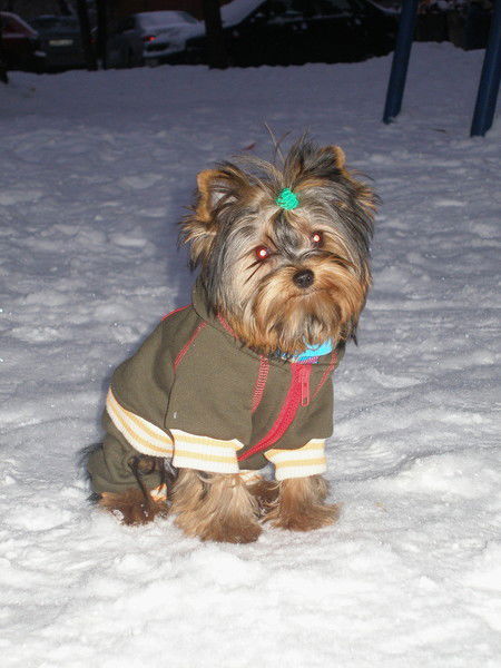 Мадина Ниязова