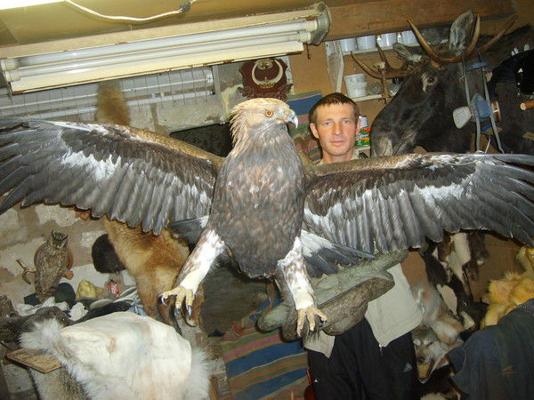 Мальцев Вячеслав