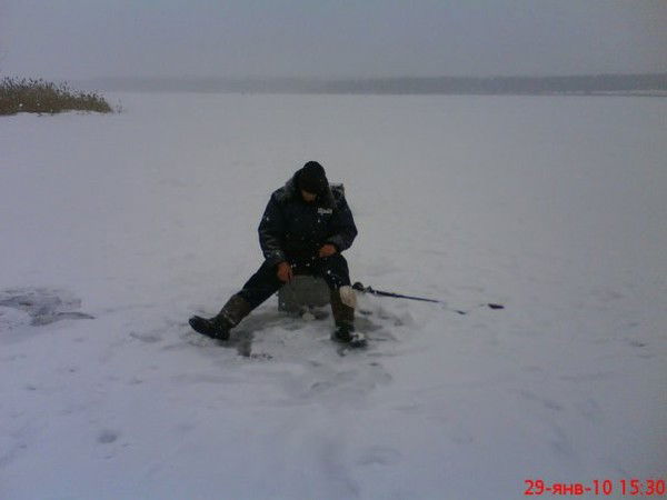 Миша Москалюк