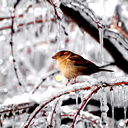 Влад Владимиров