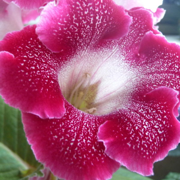 Татьяна Дементьева