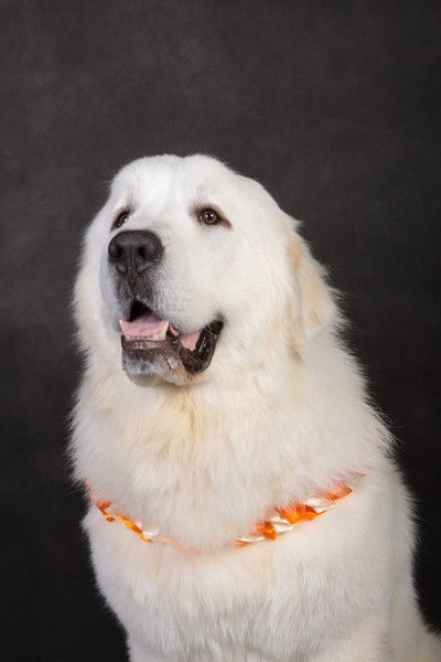 Ольга Разумова