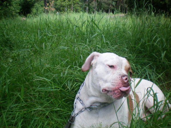 Юрий Северинов