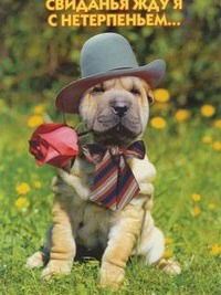 Александр Цуканов