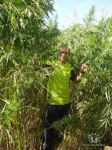 Алексей Казаринов