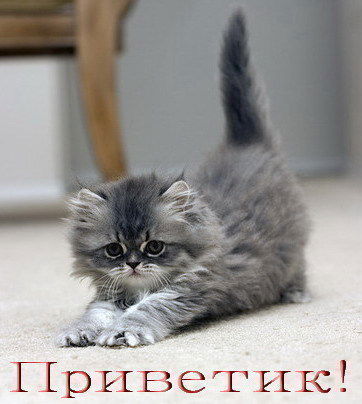 Лучана Лорен