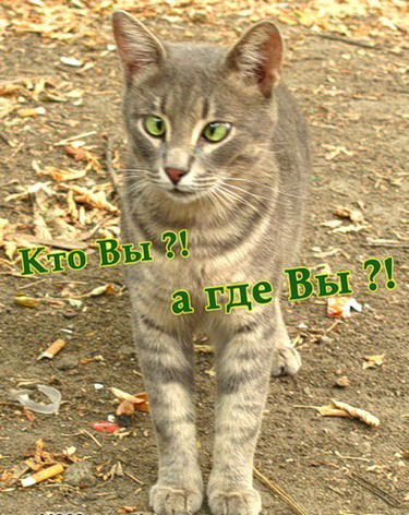 Игорь Инопланетянин