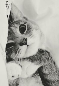 Юля Романова