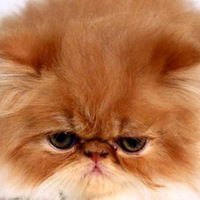 Эмма Самойленко