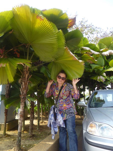 Айгуль Мухитова