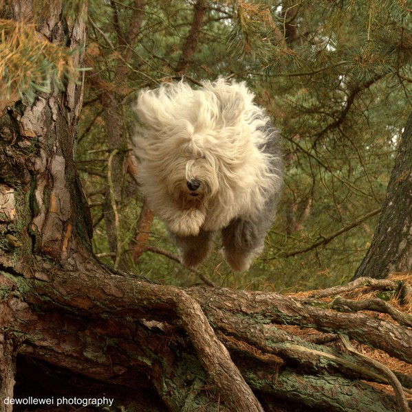 Юлия Резвых