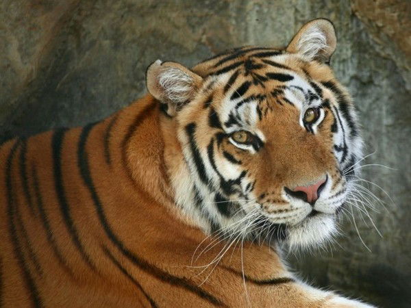 Наталья Кучумова