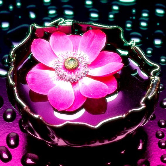 Залина Абдуллаева