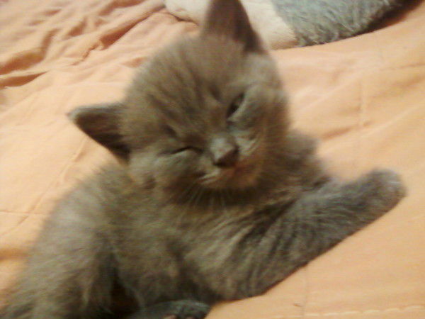 Алла Юдахина