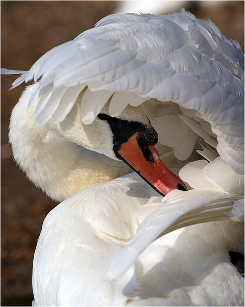 Наталья Гаврилюк