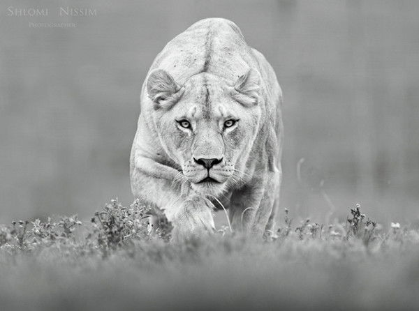 Наталья Унюшкина