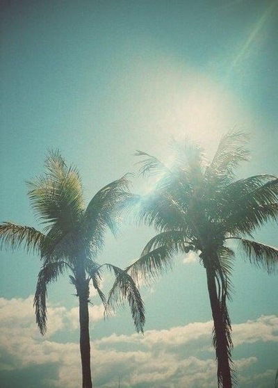 Есения Сергеева