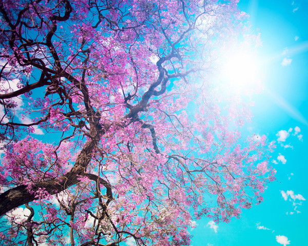 Диляра Мубинова