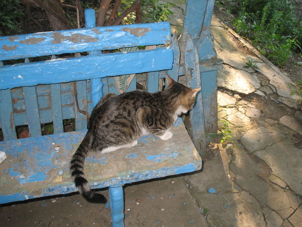 Ирина Фролова