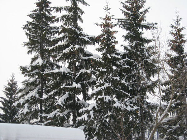 Евгений Женя