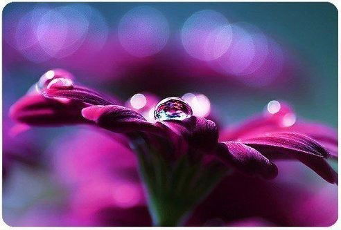 Айжан Азизова