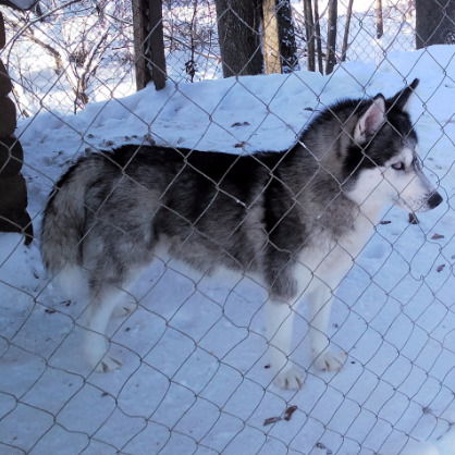 Андрей Мохов